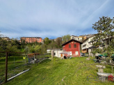 Dettagli